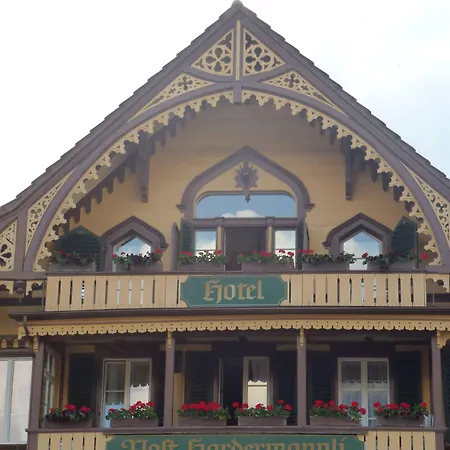 Post Hardermannli Отель 2*