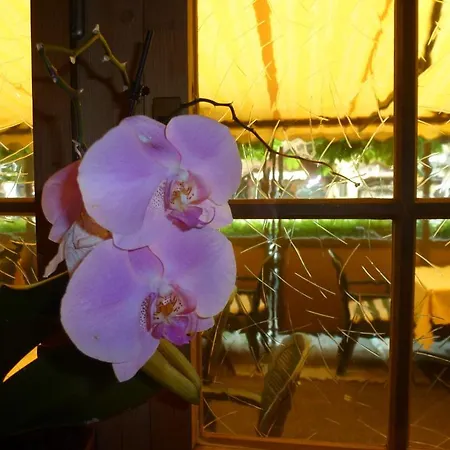 Post Hardermannli Unterseen