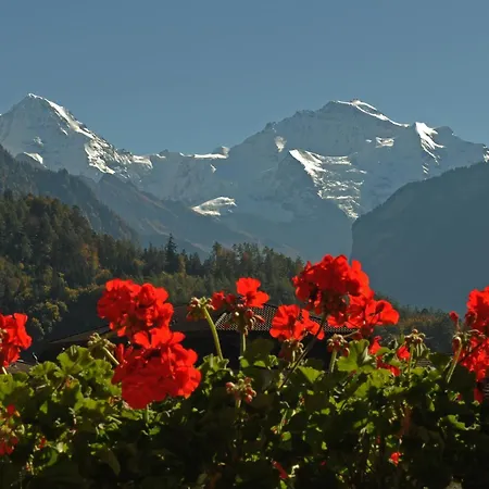 포스트 하르데르만리 호텔
