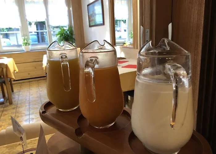 Post Hardermannli Otel Unterseen