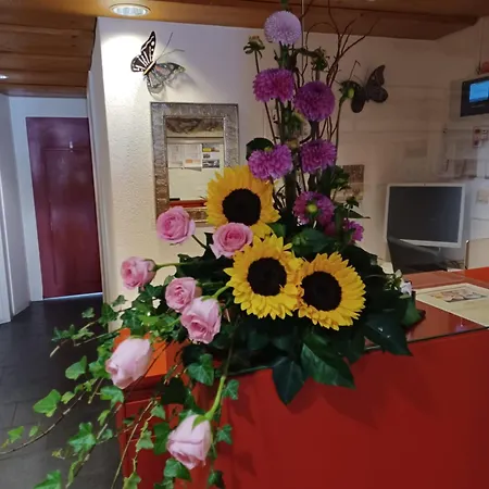 哈德曼尼邮局酒店 酒店 Unterseen