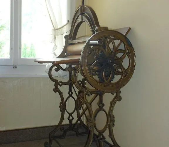 بوست هاردرمانلي 2* Unterseen