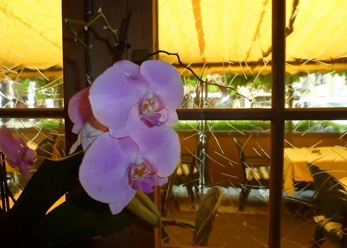 بوست هاردرمانلي Unterseen